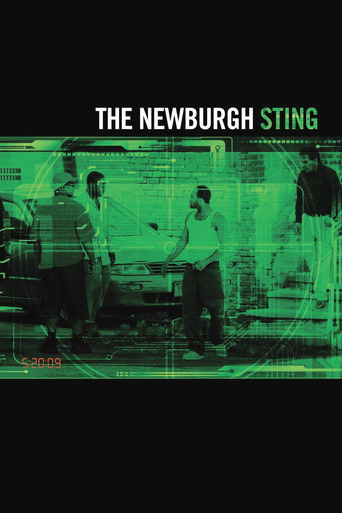 Poster for The Newburgh Sting
