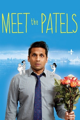 Poster for Meet the Patels