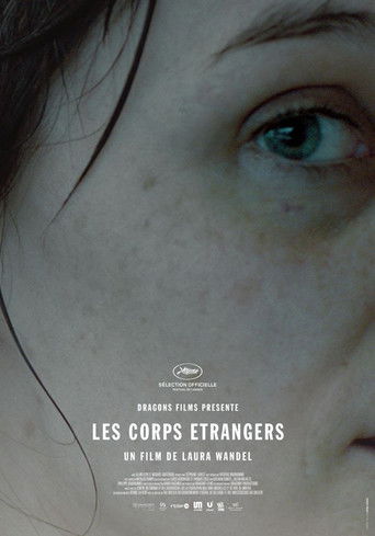 Poster for Foreign Bodies