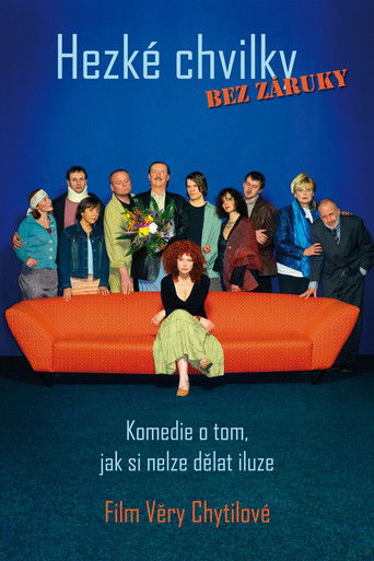 Poster for Pleasant Moments