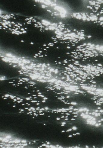 Poster for Kristallnacht