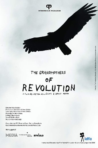 Poster for The Grandmothers of the Revolution