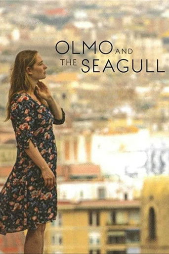Poster for Olmo and the Seagull
