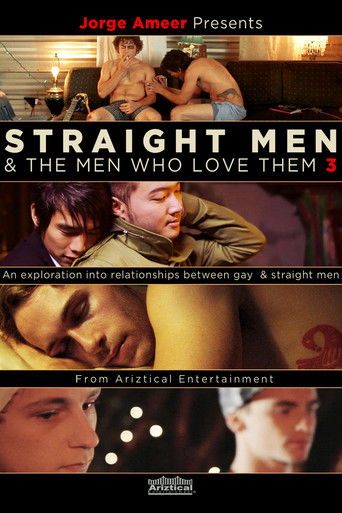 Poster for Straight Men & the Men Who Love Them 3