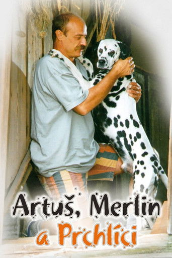 Poster for Artus, Merlin a Prchlici