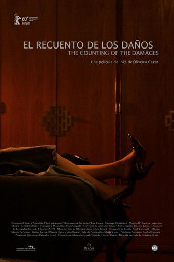 Poster for The Counting of the Damages
