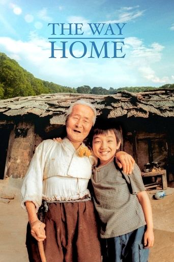 Poster for The Way Home
