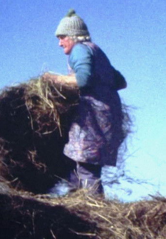 Poster for Land Makar