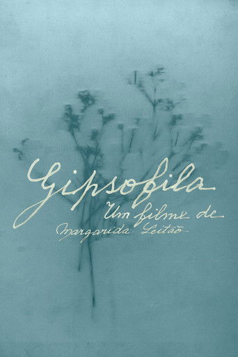 Poster for Gypsophila