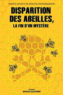 Poster for Disparition des abeilles, la fin d'un mystère