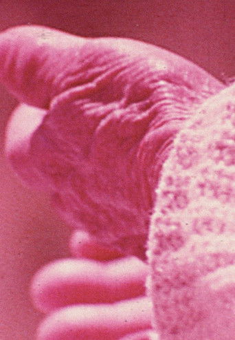 Poster for Elasticity