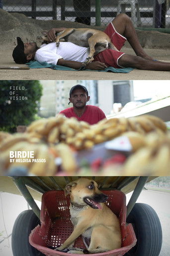 Poster for Birdie