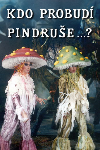 Poster for Kdo probudí Pindruše...?