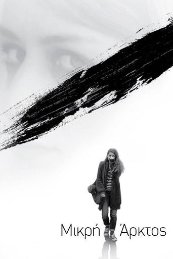 Poster for Ursa Minor