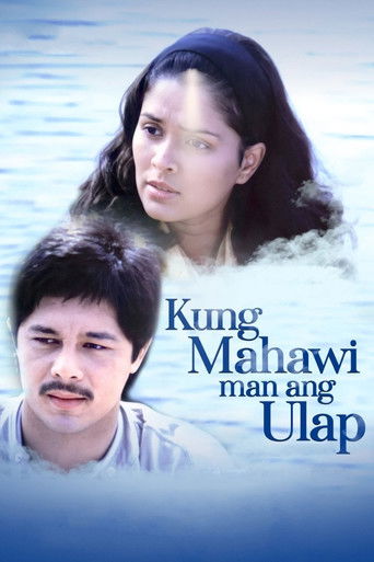 Poster for Should the Skies Clear