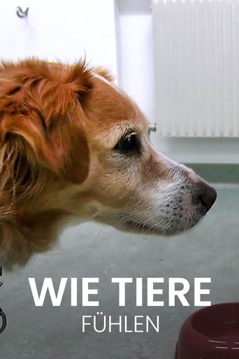 Poster for Wie Tiere fühlen