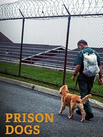 Poster for Prison Dogs