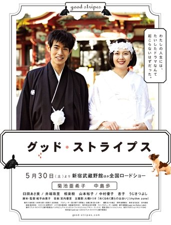 Poster for Good Stripes