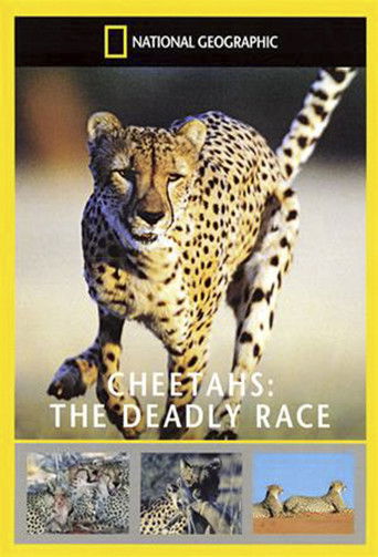 Poster for Cheetahs: The Deadly Race