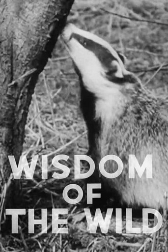 Poster for Wisdom of the Wild