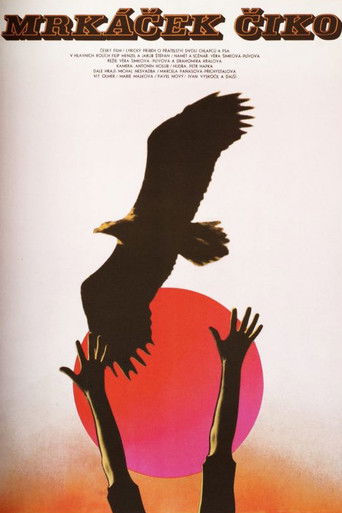 Poster for Blinker-Ciko