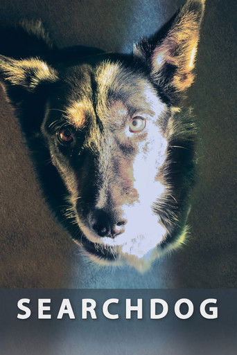 Poster for Searchdog