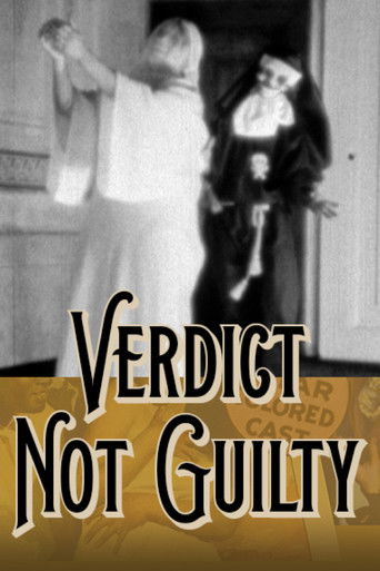 Poster for Verdict: Not Guilty