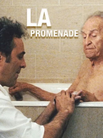 Poster for La promenade