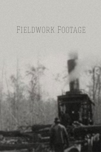 Poster for Fieldwork Footage
