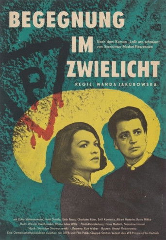 Poster for Meetings In The Dark