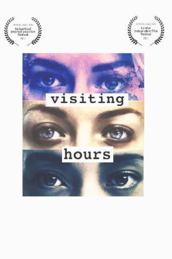 Poster for Visiting Hours