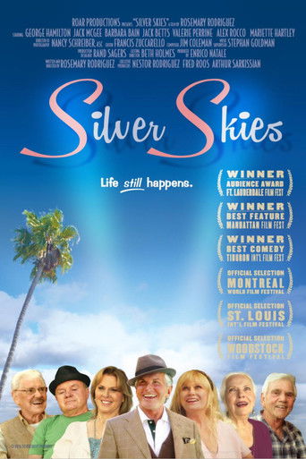 Poster for Silver Skies