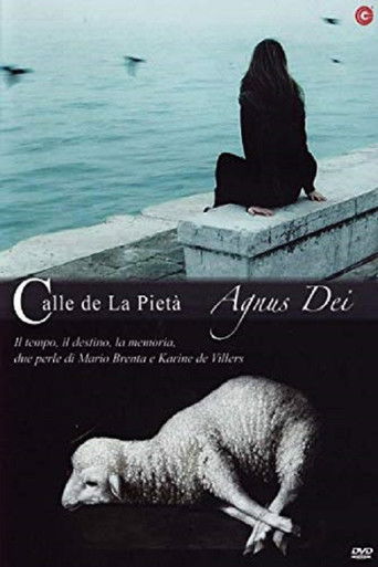 Poster for Calle de la pietà