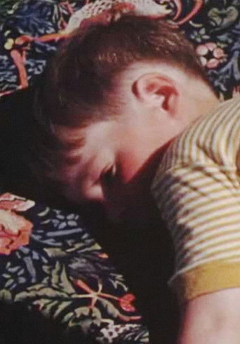 Poster for Happy Bees