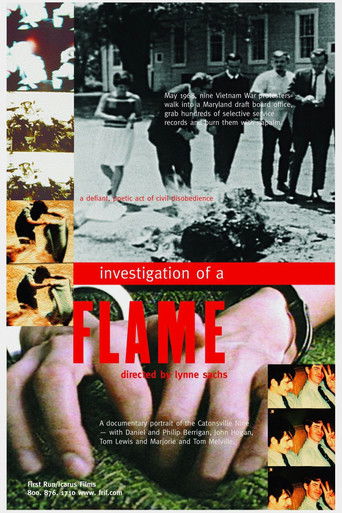 Poster for Investigation of a Flame