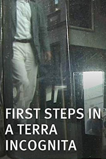 Poster for First Steps in a Terra Incognita