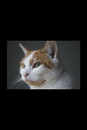 Poster for Felis Catus