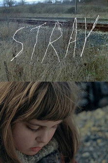 Poster for Stray
