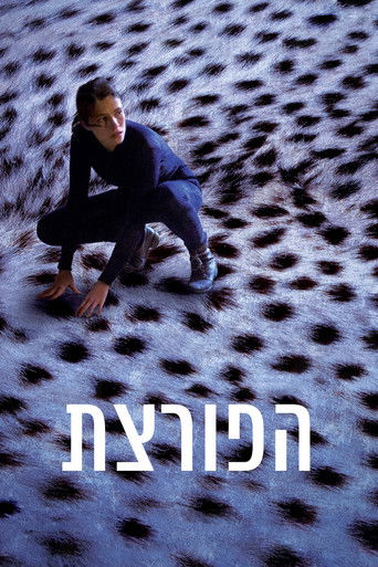 Poster for The Burglar