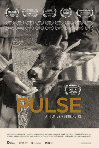 Poster for Pulse