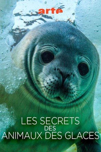 Poster for Les Secrets des Animaux des Glaces