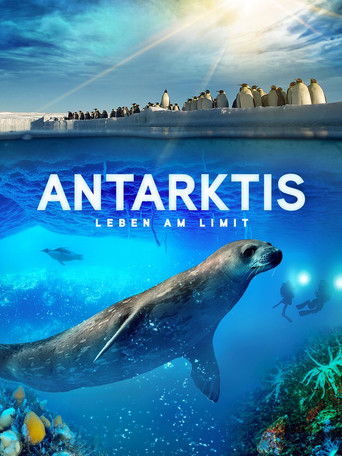 Poster for Antarktis - Leben am Limit