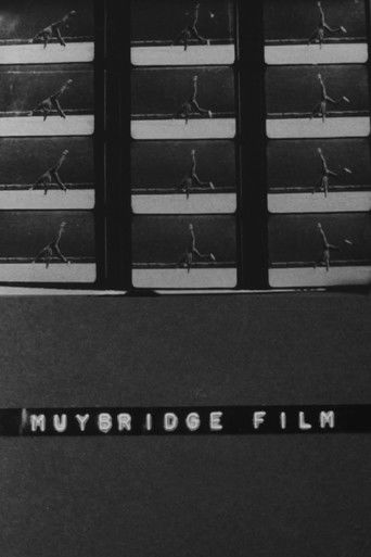 Poster for Muybridge Film