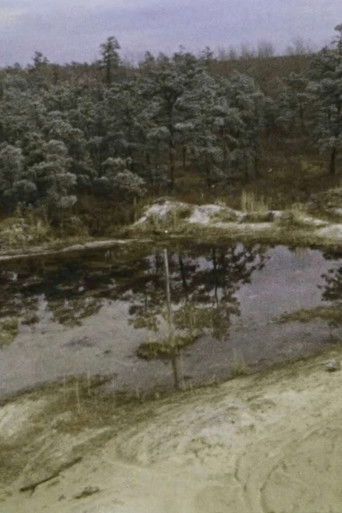 Poster for Pine Barrens