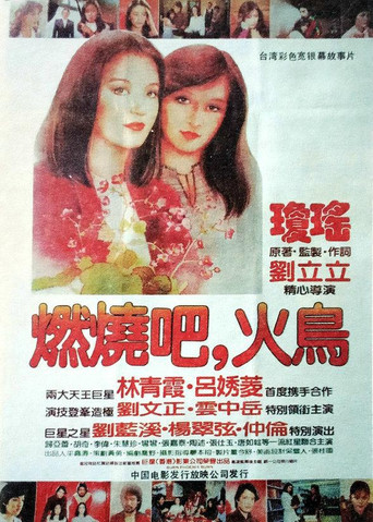 Poster for Burn Phoenix Burn