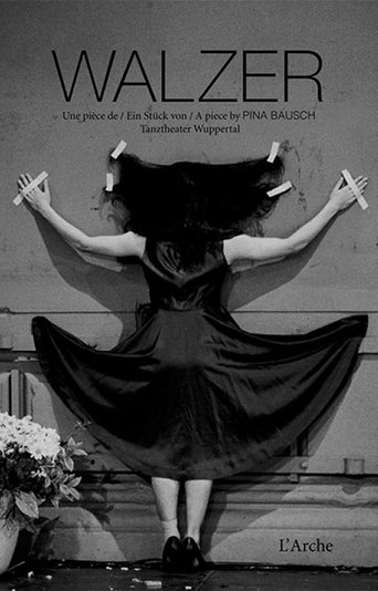 Poster for Walzer