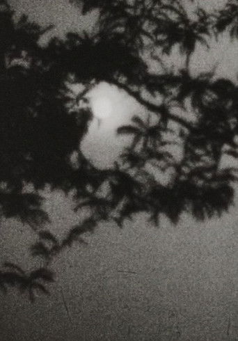 Poster for Moonplay