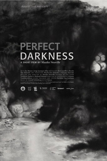 Poster for Perfect Darkness