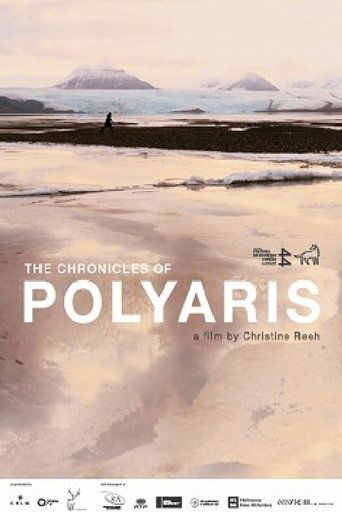 Poster for The Chronicles of Polyaris