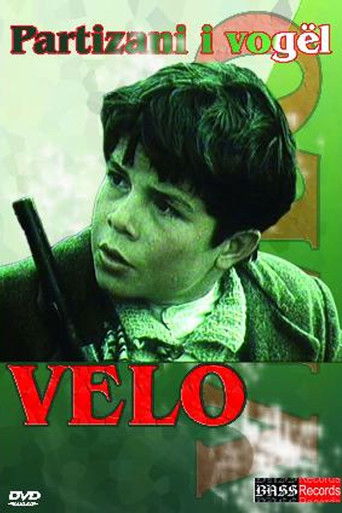 Poster for The Little Partisan Velo